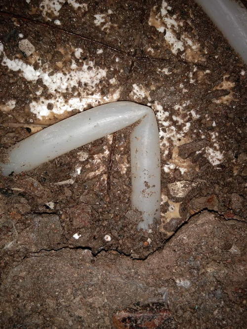 洛扎堵点精准查找